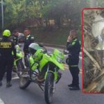 El dato clave : los dos hombres capturados en Cúcuta confesaron la ubicación exacta del cuerpo que correspondería a Yulixa Toloza