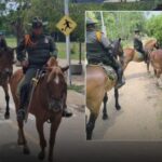 Carabineros despliegan patrullajes montados para evitar el abigeato en Cereté