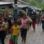 Crisis en el Bajo Cauca: Nuevo desplazamiento masivo deja 11 familias afectadas en Tarazá