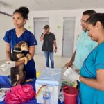 Alcaldía de Montería mantiene estrategias de bienestar animal y prevención de enfermedades zoonóticas; vacunación contra la rabia supera los 86 mil caninos y felinos