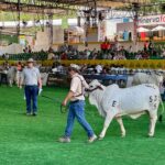 Implementan plan vial en la vía Montería – Planeta Rica por la Feria Nacional Cebú