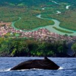 Nuquí y Bahía Solano serán impulsados como destinos turísticos tras la reconstrucción del Chocó