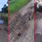 Denuncia mal estado del tramo vial Los Pericos-Besito Volao