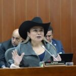 “Con el presupuesto que tenemos, la ANT va a cumplir”: directora Lina María Garrido
