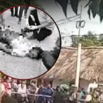 Siniestro vial en Los Garzones deja un fallecido y dos heridos