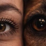 Fidelidad en medio de la violencia: el sacrificio de un perro en la capital de Córdoba reafirma el valor de las mascotas.